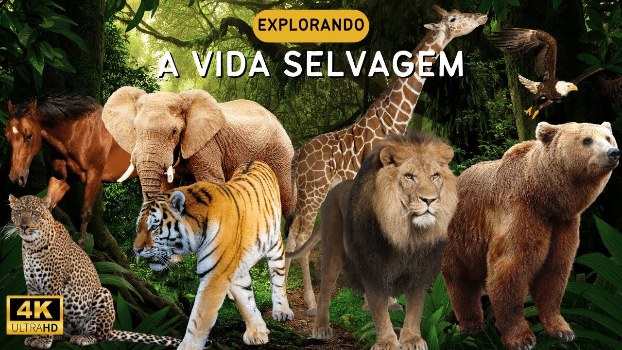 Explorando a Vida Selvagem dos Animais - Curiosidades Incríveis de ...