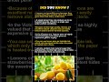 6 Sour Facts About Lemon You Never Knew 🍋 | Lemon Secrets Revealed