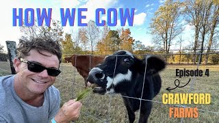 How We Cow Clayne Crawford Farms Ep 4