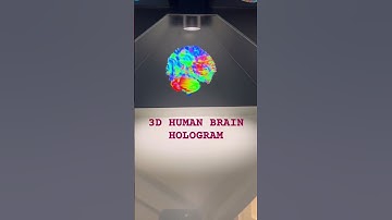 3D HUMAN BRAIN HOLOGRAM RECONSTRUCTION #brain #hologram #humanity #3d #youtube #music #shorts