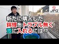 【生体管理】錦鯉の導入方法