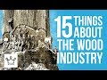 15 Things You Didn't Know About The Wood Industry 15 Things You Didn't Know About The Wood Industry