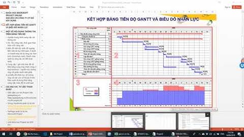 Các kiểu khung nhìn báo cáo số liệu tiến độ trong Microsoft Project