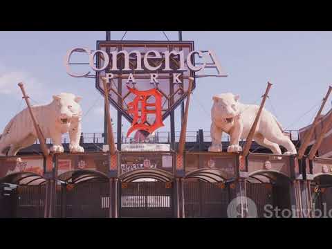 Don’t Miss a Pitch: 2025 World Series Schedule + How to Watch
