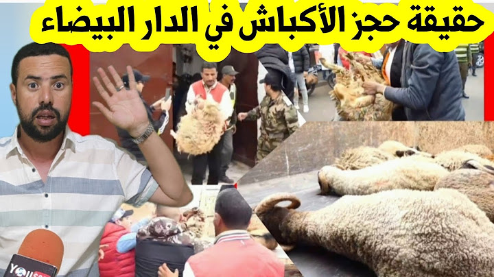 حقيقة حجز السلطات للاكباش و المواشي بسبب إلغاء عيد الأضحى