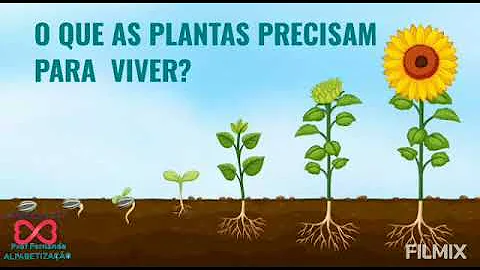 O que é planta precisa para sobreviver?
