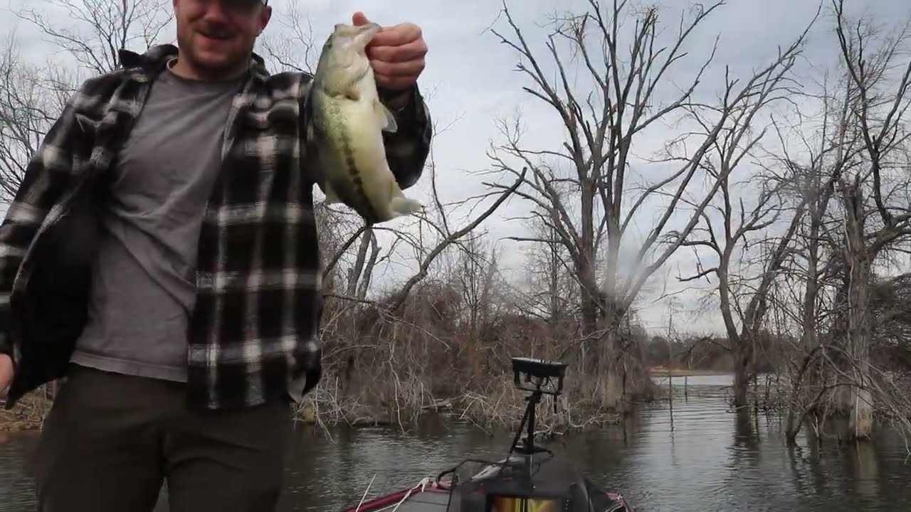 Fun Winter numbers bass fishing day in NTX!