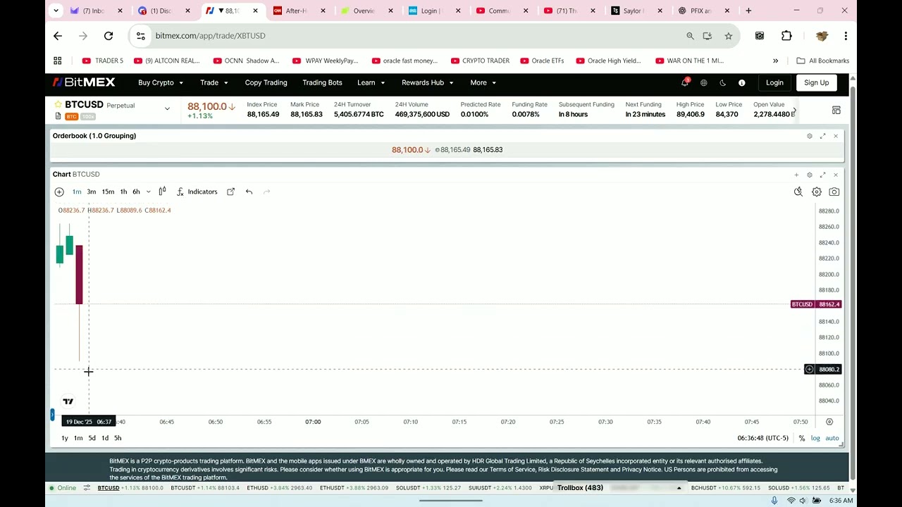Эксклюзивное видео с динамикой цены биткоина от Oracle! 💰