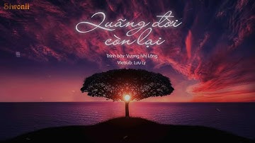 [Vietsub + Kara] Quãng đời còn lại - Vương Nhị Lãng | 往后余生 - 王贰浪 | Tik Tok