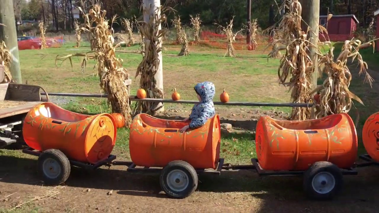 Тыквенная ферма Джексона / Jackson's Pumpkin Farm YouTube