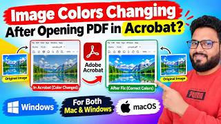 Acrobat Pro DC Colors Changing After Opening PDF Here’s the Fix!