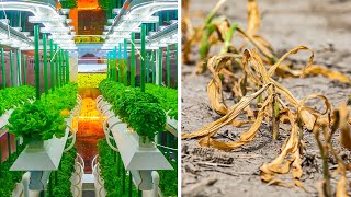 Indoor Farming Was Supposed to be Revolutionary. It’s Actually a Slave to Fossil Fuels