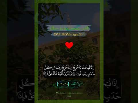 والتي أحصنت فرجها فنفخنا فيها من روحنا الأنبياء للقارئ محمود إسماعيل هدوء وطمئنينة