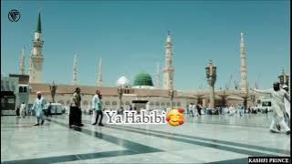 Ya Habibi Ya Muhammed❤️ | Beautiful Status💕 | Must Watch😍