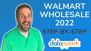 Walmart WFS Wholesale Step by Step Guide (2022)