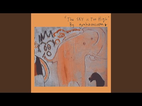 Graham Coxon – The Sky Is Too High | Releases | Discogs