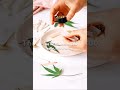 Navigating CBD Legality #education #md
