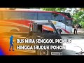 MAGETAN - Bus Mira Senggol Pick Up Hingga Sruduk Pohon