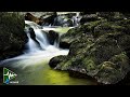 Deep Into Sleep - Binaural Beats with Calming Water Stream Sound | 3 Hz Delta Waves | Deep Sleep