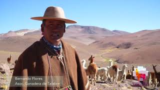 Bernardo Flores - Ganadero de Talabre, San Pedro de Atacama