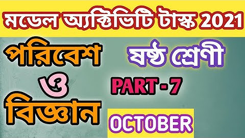 Model Activity Task Class 6 Science (পরিবেশ ও বিজ্ঞান) Part 7 |Class 6 model Activity Task Part 7