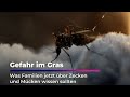 Zecken-Gefahr für Familien