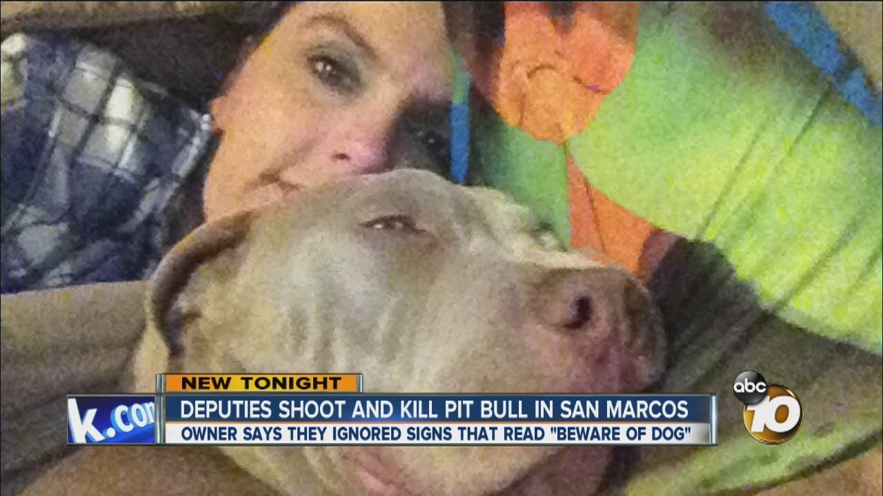 beware of pitbull sign