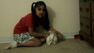 VID00254.AVI