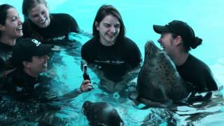Meet Gulf World Animal Care Specialists!