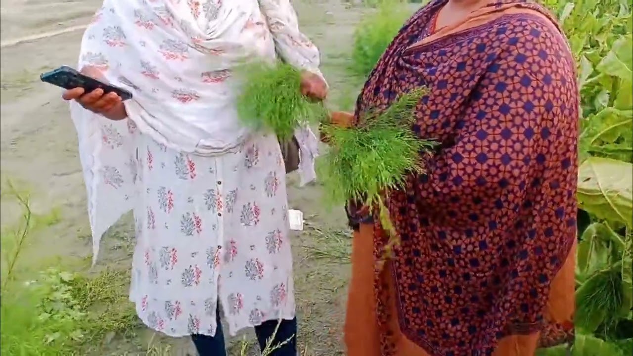 ⁣bangla Porn Videos 2026 Bangladeshi Sex