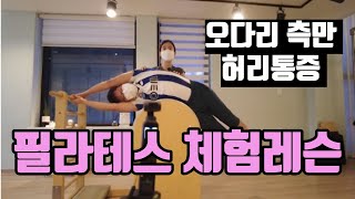 필라테스 개인레슨체험수업 간접경험해보자 신논현필라테스