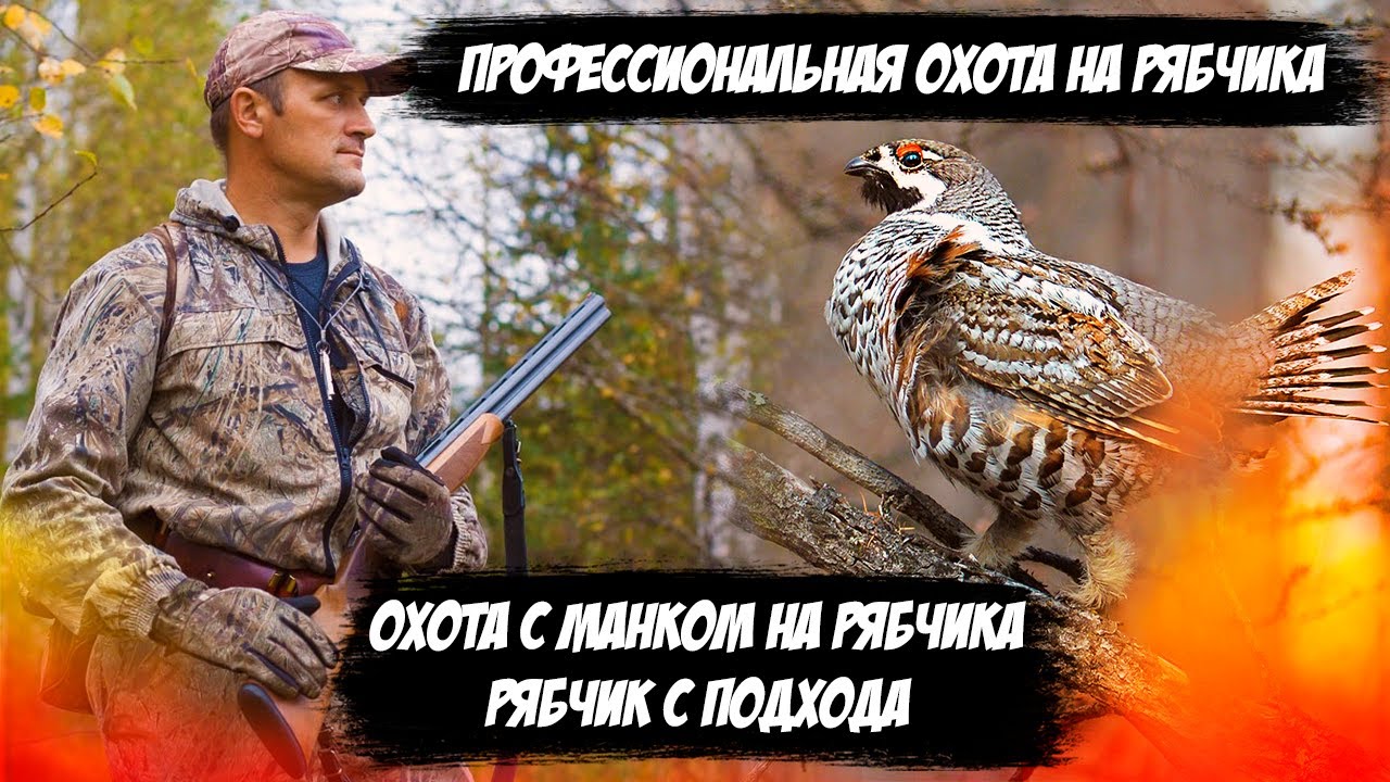 СЕКРЕТЫ УСПЕШНОЙ ОХОТЫ НА РЯБЧИКА / ТАЕЖНЫЕ ИСТОРИИ