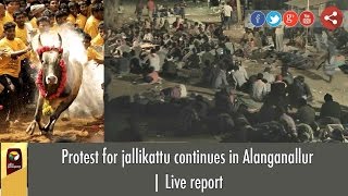 Protest for jallikattu continues in Alanganallur | Live report screenshot 3