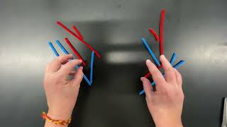 Pipe Cleaner Lab