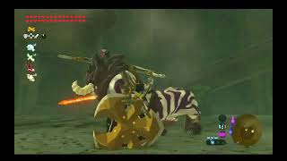 #darklink #destroys #sliver #savage #lynel #nodamage #zelda #botw