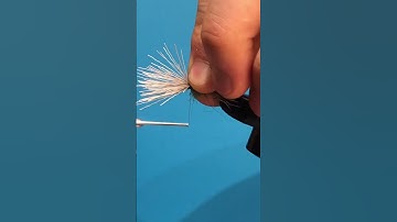Mikulak Sedge #flytying #flyfishing #bc #dryfly