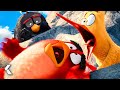 Meet The Majestic And Mighty Eagle THE ANGRY BIRDS MOVIE 