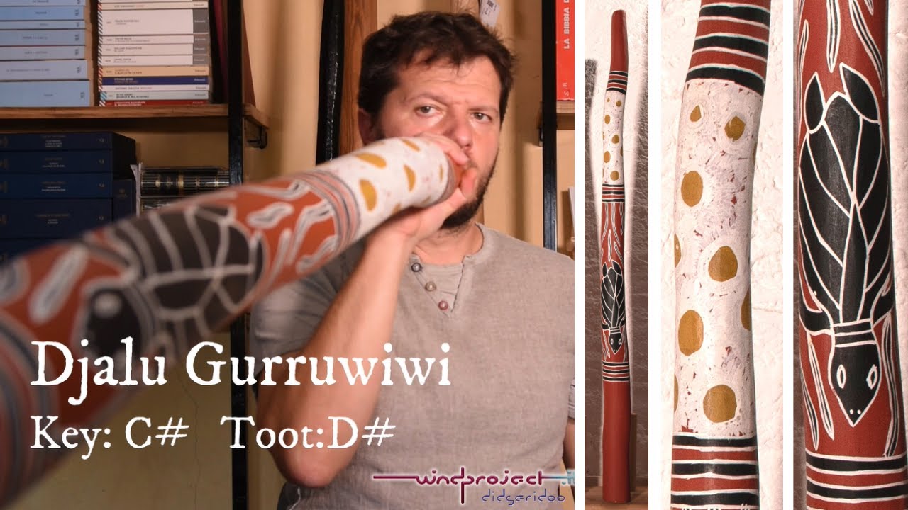Yidaki by Dj*l* Gurruwiwi, Traditional Didgeridoo, Key C#, D# 