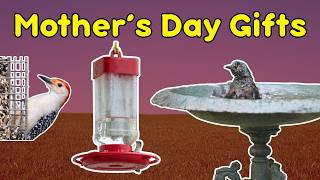 10 Birdwatching Mother's Day Gifts Any Mom Will Love