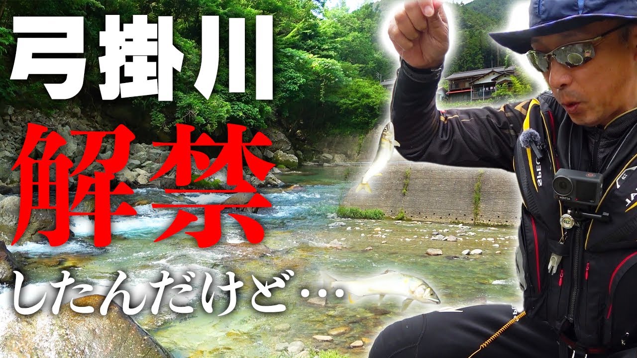 弓掛川解禁＆馬瀬川攻略！キモはやっぱり〇〇〇【鮎釣り】