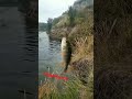 РЫБАЛКА  НА Спиннинг  Отпустил-ПОТ ДЕРЖИ ПОДПИСКОЙ #fishing #рыбалканаозере #fishing #карп #fishing