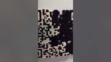Created a QR code on rug || Scan it for good funny videos Credit: Simji