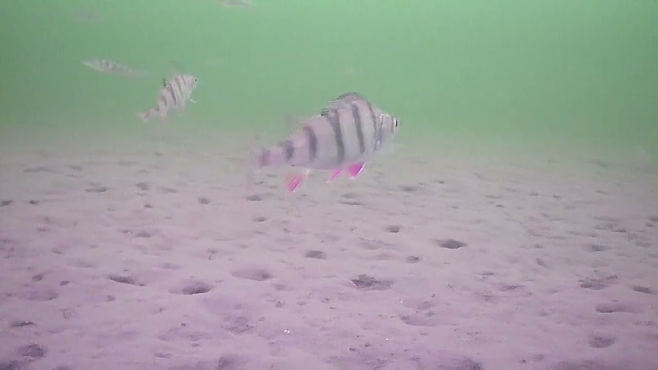 20170103 015519 00000038 00N