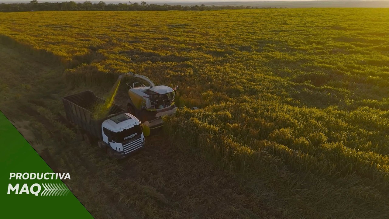 Innovaciones para una cosecha forrajera de calidad | PM #52