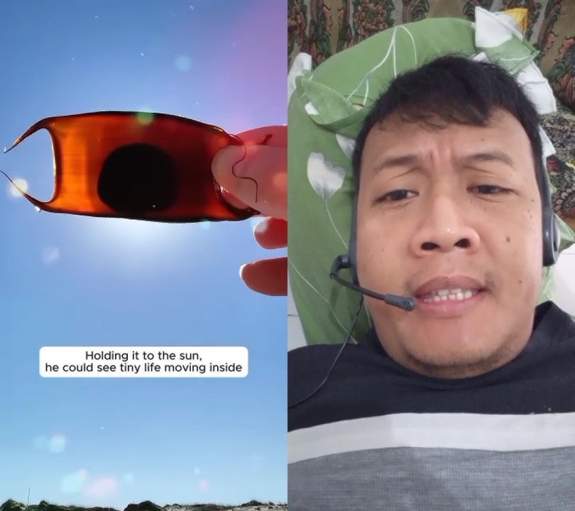 You found this, what do you think? #animals #shortvideo #wildlife