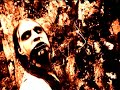 Marduk Throne Of Rats