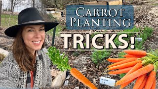 Tricks for Sowing Carrots- Improve Germination &amp; Spacing