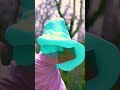 Boxing glove vs balloon! 🥊 #shorts #satisfying
