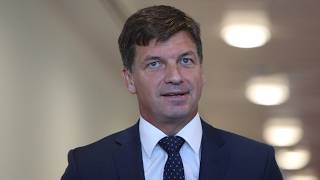 Coalition planning to deliver ‘the biggest cut’ to immigration in Australia’s history