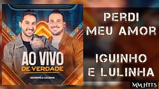 PERDI MEU AMOR - Iguinho e Lulinha (Áudio Oficial)